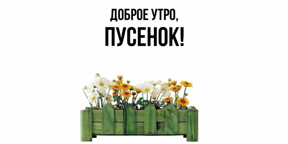 Открытка  для любимых и родных. пусенок, Доброе утро  
