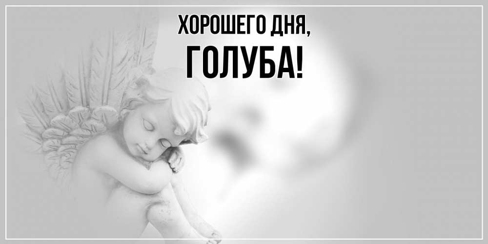 Открытка  для любимых и родных. голуба, Хорошего дня  