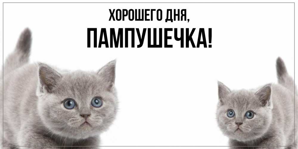 Открытка  для любимых и родных. пампушечка, Хорошего дня  