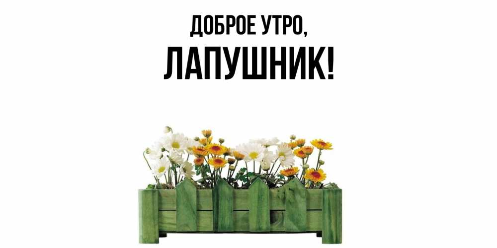 Открытка  для любимых и родных. лапушник, Доброе утро  