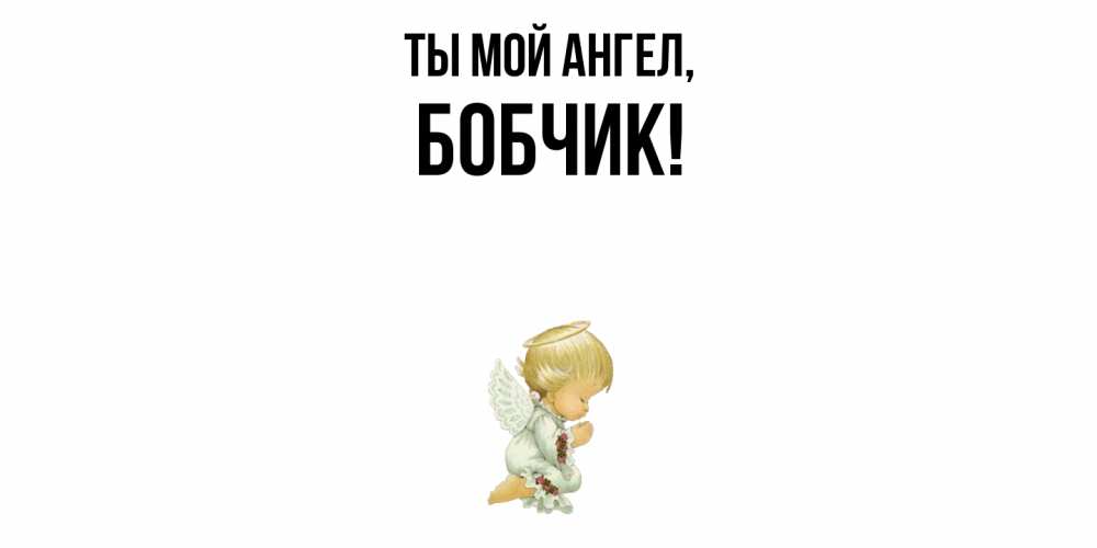 Картинка Ты мой ангел, бобчик