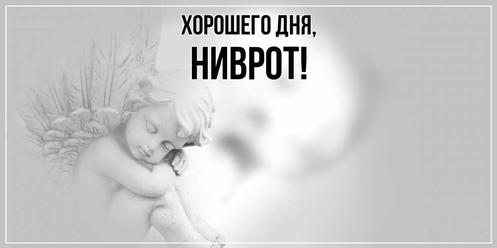 Открытка  для любимых и родных. ниврот, Хорошего дня  