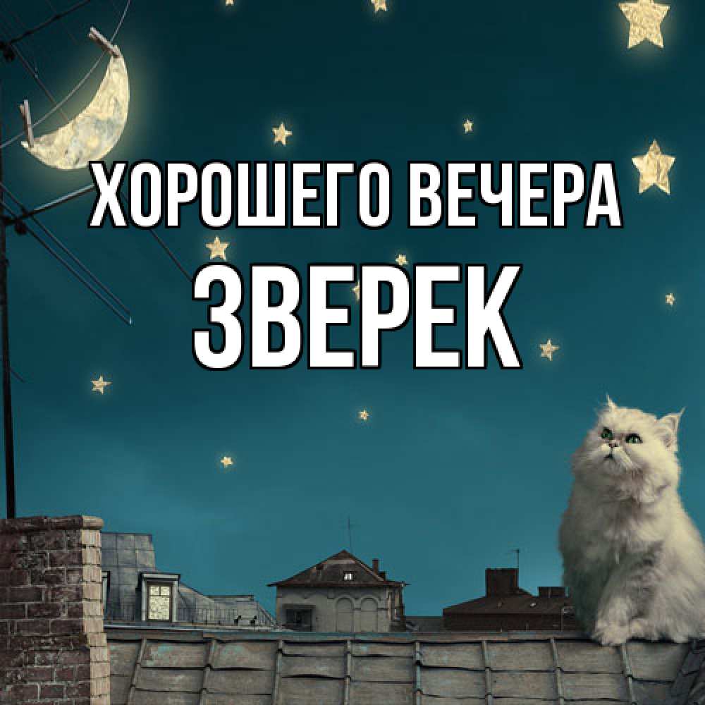 Открытка с именем, зверек, Хорошего вечера