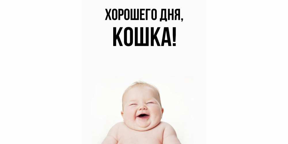 Открытка  для любимых и родных. кошка, Хорошего дня  