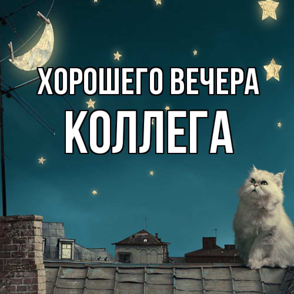 Картинка Хорошего вечера, Коллега