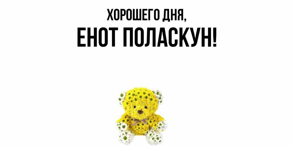 Открытка  для любимых и родных. енот, Хорошего дня  