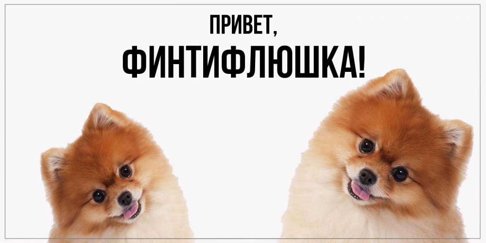 Открытка с именем, финтифлюшка, Привет