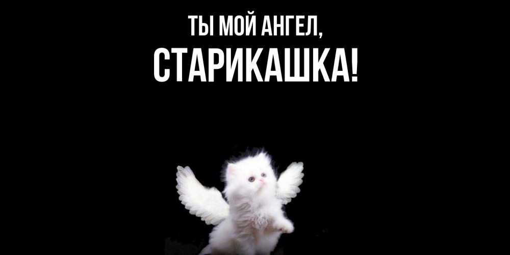 Открытка  для любимых и родных. старикашка, Ты мой ангел  