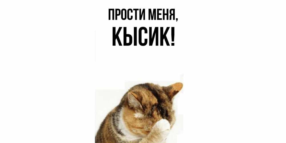 Открытка  для любимых и родных. кысик, Прости меня  
