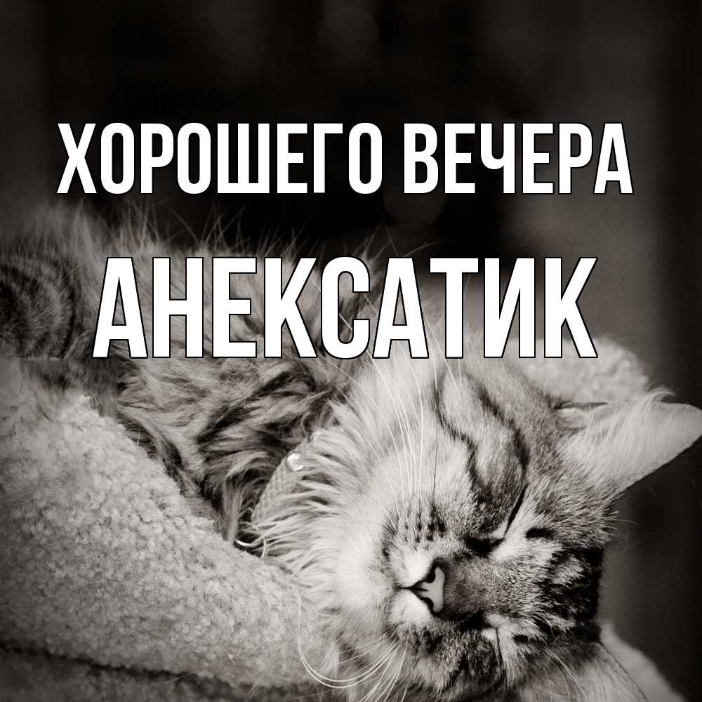 Открытка  для любимых и родных. анексатик, Хорошего вечера  