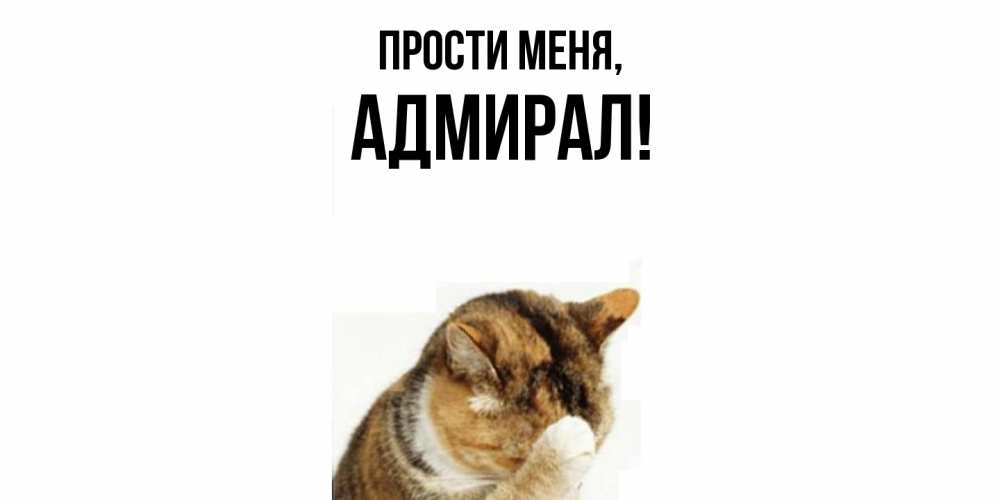 Открытка с именем, адмирал, Прости меня