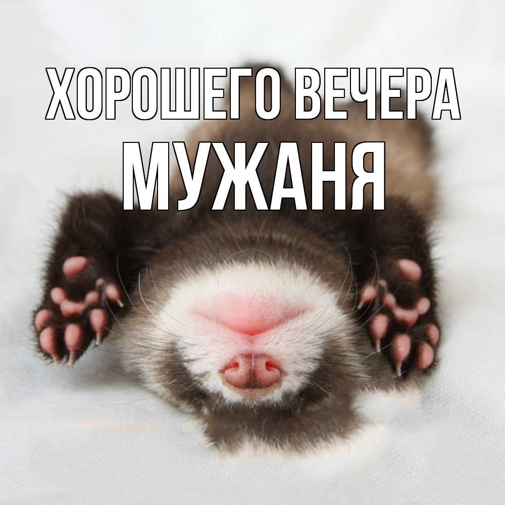 Открытка  для любимых и родных. мужаня, Хорошего вечера  