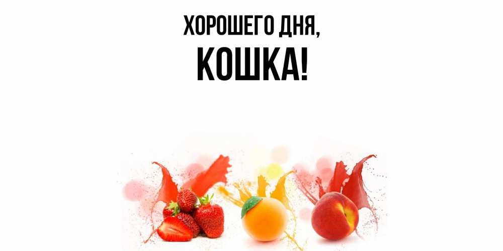 Открытка  для любимых и родных. кошка, Хорошего дня  