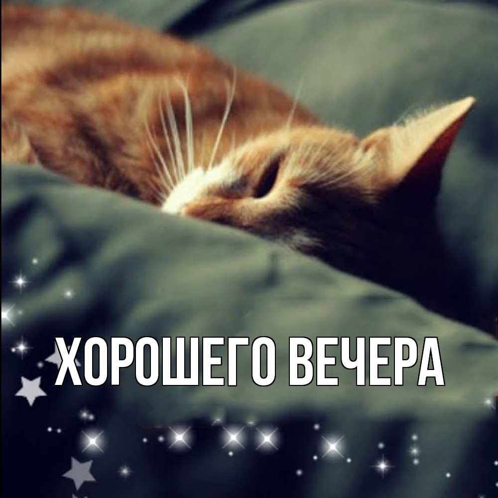 Открытка  для любимых и родных. выберите-описание, Хорошего вечера  