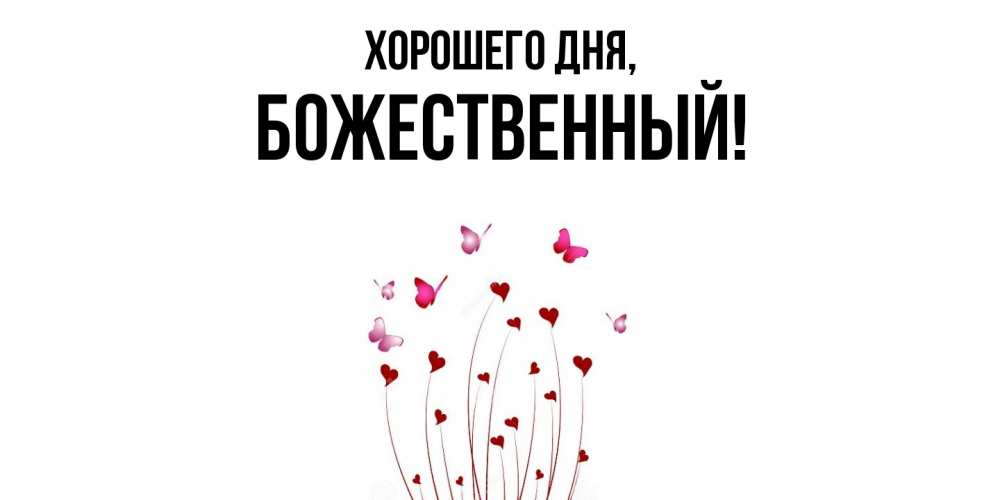 Открытка  для любимых и родных. божественный, Хорошего дня  