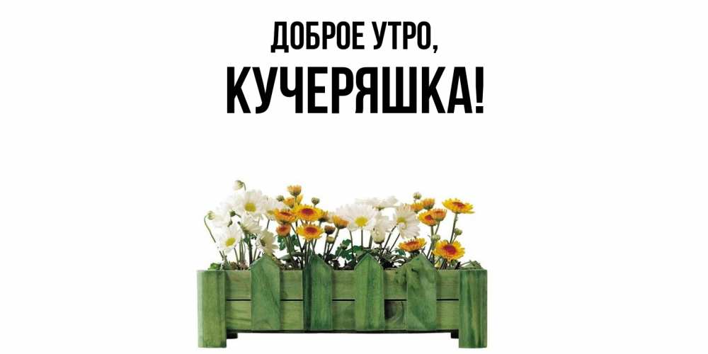 Открытка  для любимых и родных. кучеряшка, Доброе утро  