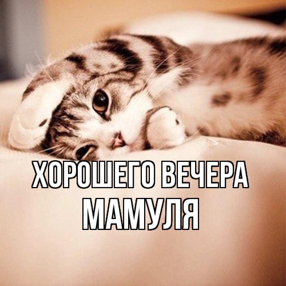 Открытка с именем, Мамуля, Хорошего вечера