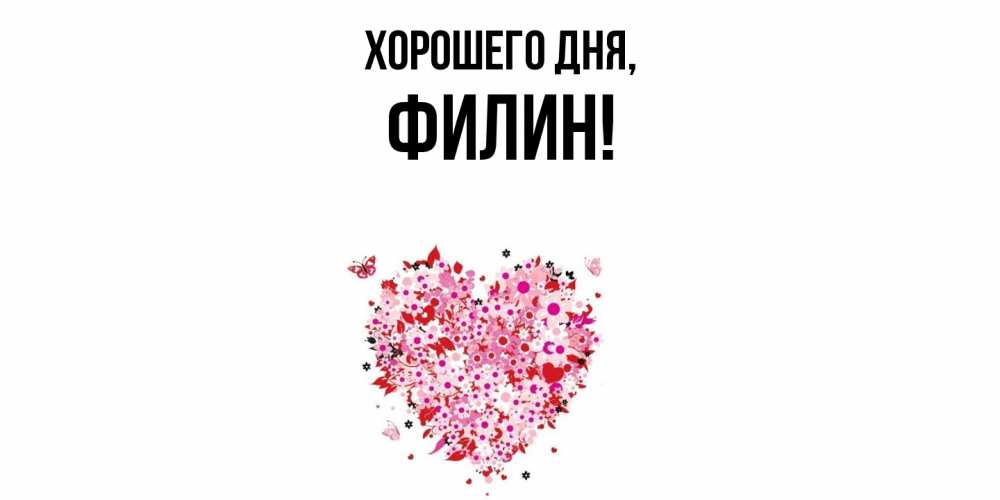 Открытка  для любимых и родных. филин, Хорошего дня  