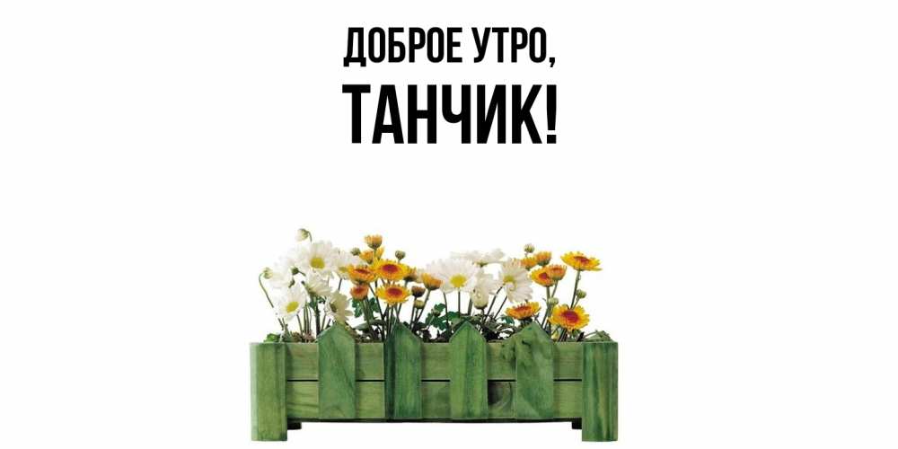 Открытка  для любимых и родных. танчик, Доброе утро  