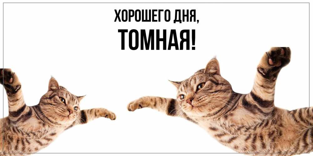 Открытка  для любимых и родных. томная, Хорошего дня  