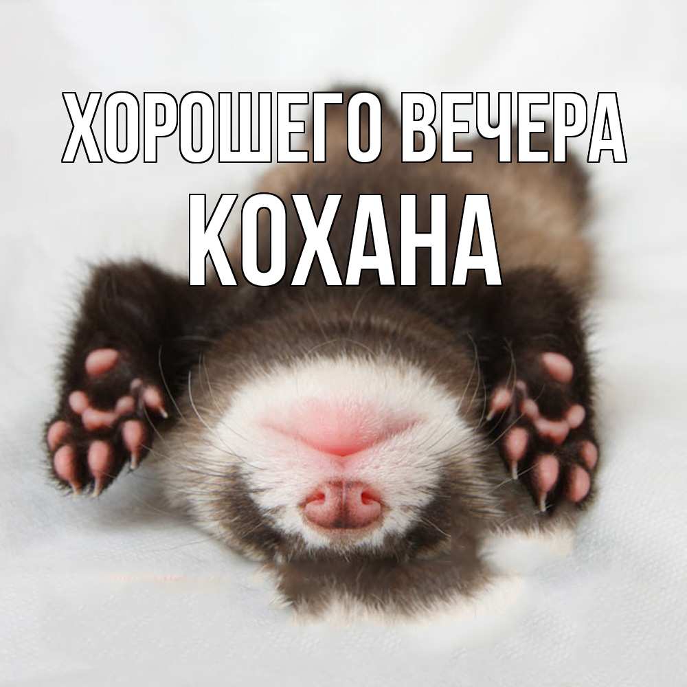 Открытка  для любимых и родных. кохана, Хорошего вечера  