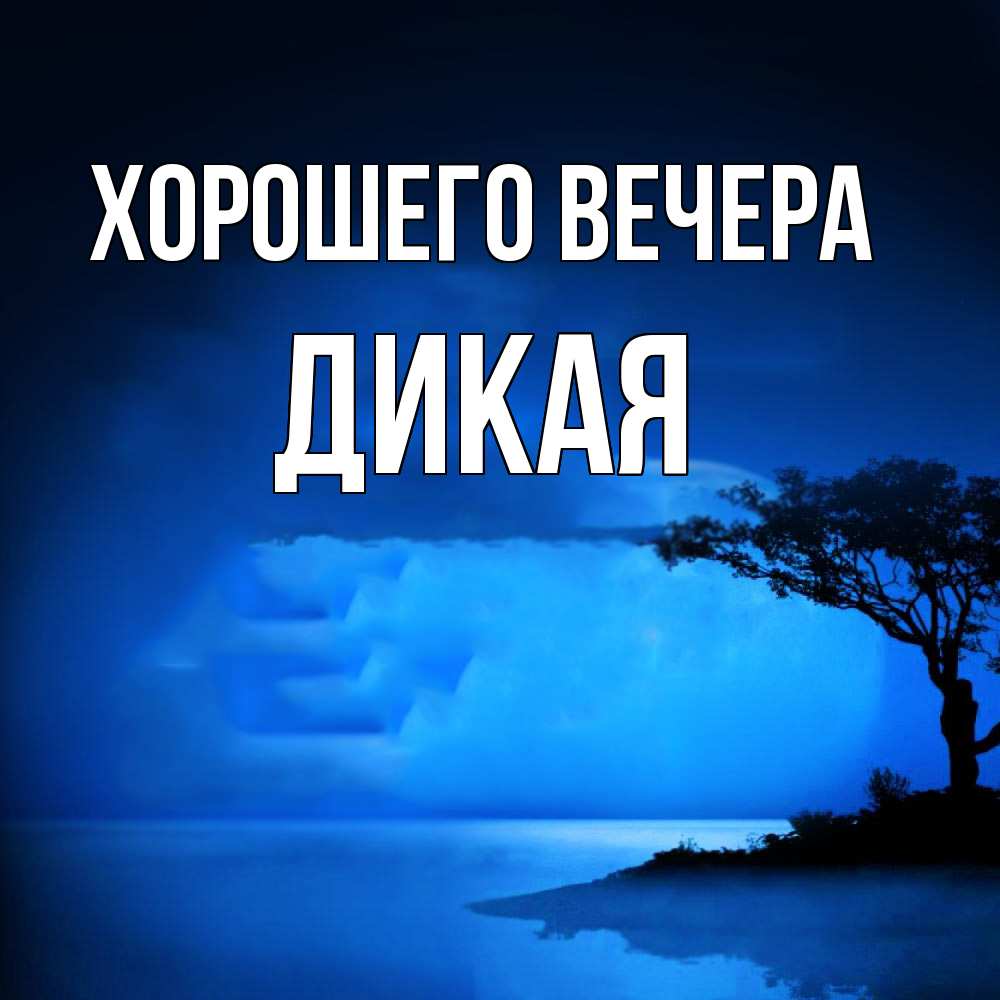 Картинка Хорошего вечера, дикая