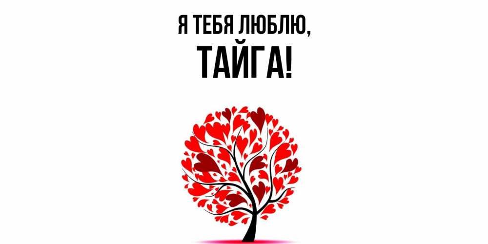 Открытка  для любимых и родных. тайга, Я тебя люблю  