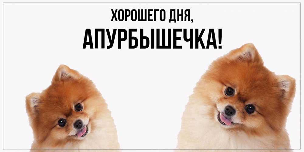 Открытка  для любимых и родных. апурбышечка, Хорошего дня  