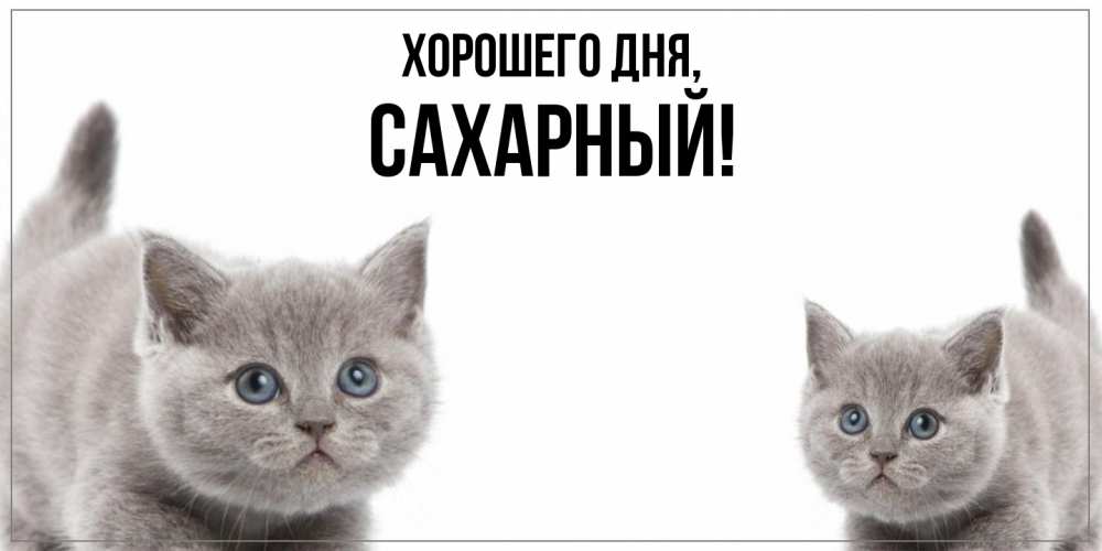 Открытка  для любимых и родных. сахарный, Хорошего дня  