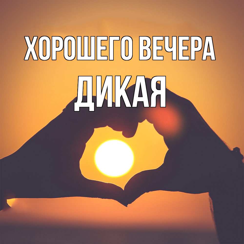 Открытка  для любимых и родных. дикая, Хорошего вечера  