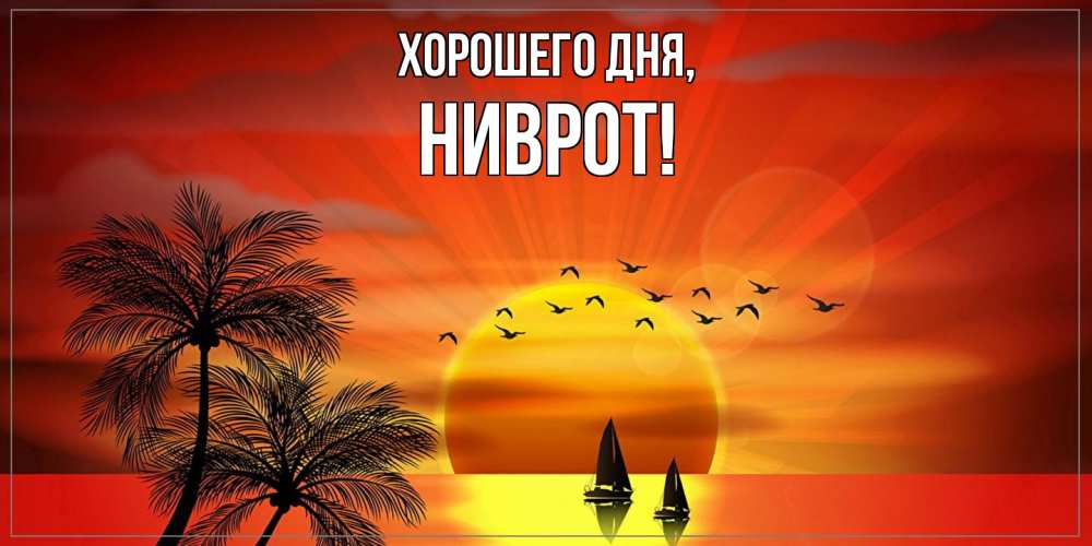 Открытка  для любимых и родных. ниврот, Хорошего дня  