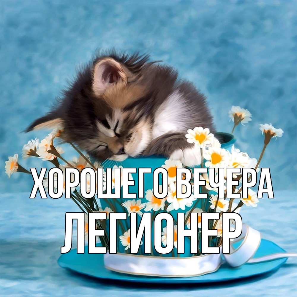 Картинка Хорошего вечера, легионер