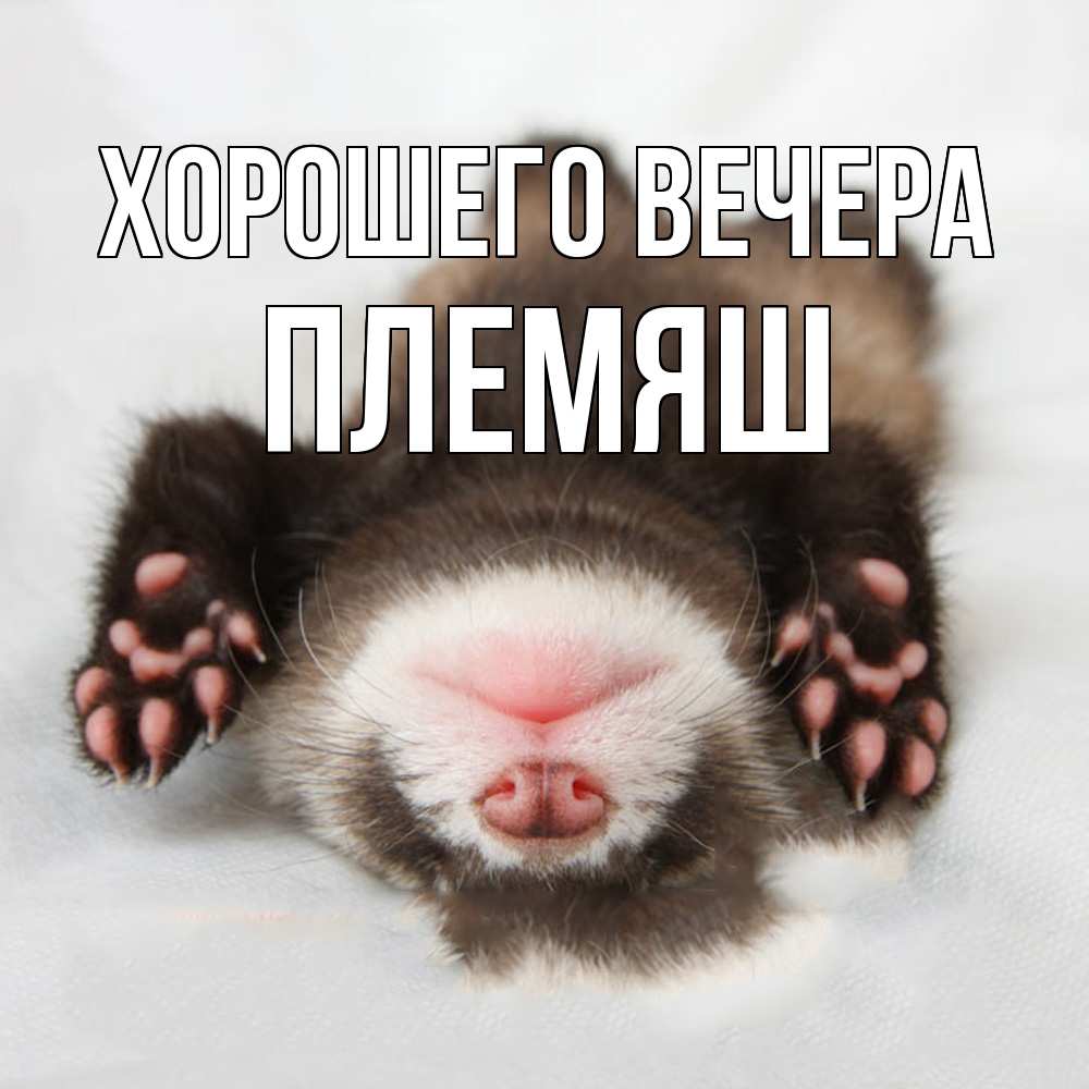 Открытка  для любимых и родных. Племяш, Хорошего вечера  