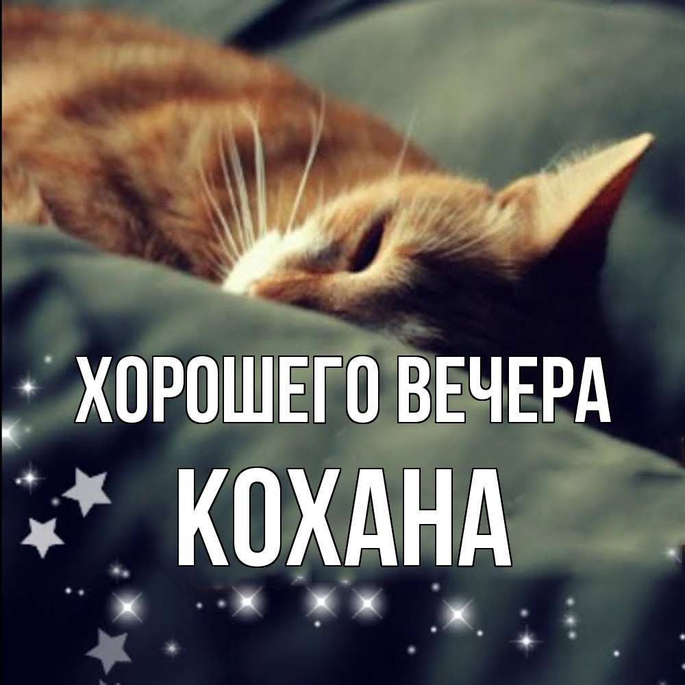 Открытка  для любимых и родных. кохана, Хорошего вечера  