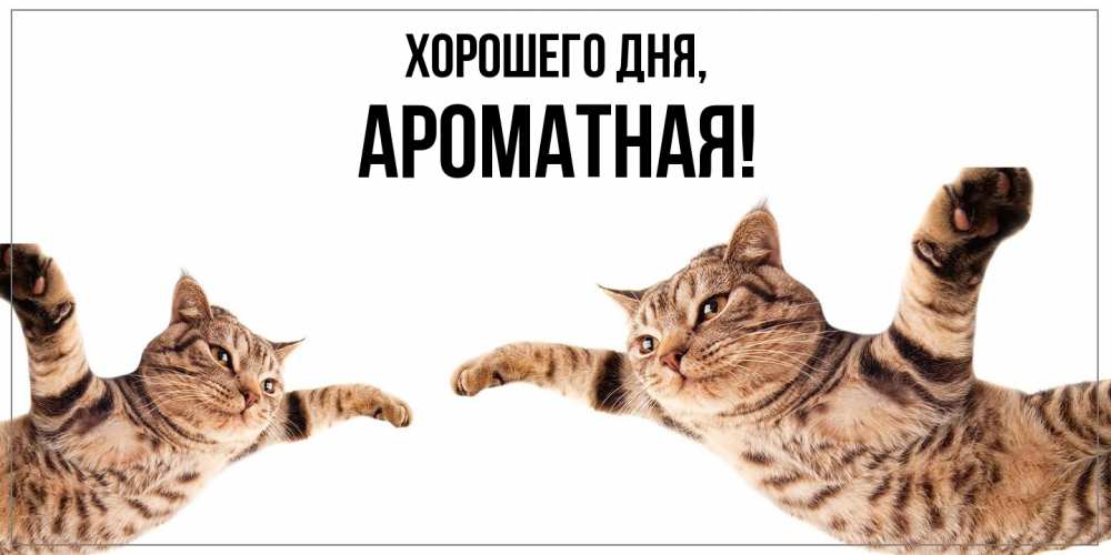 Открытка  для любимых и родных. ароматная, Хорошего дня  