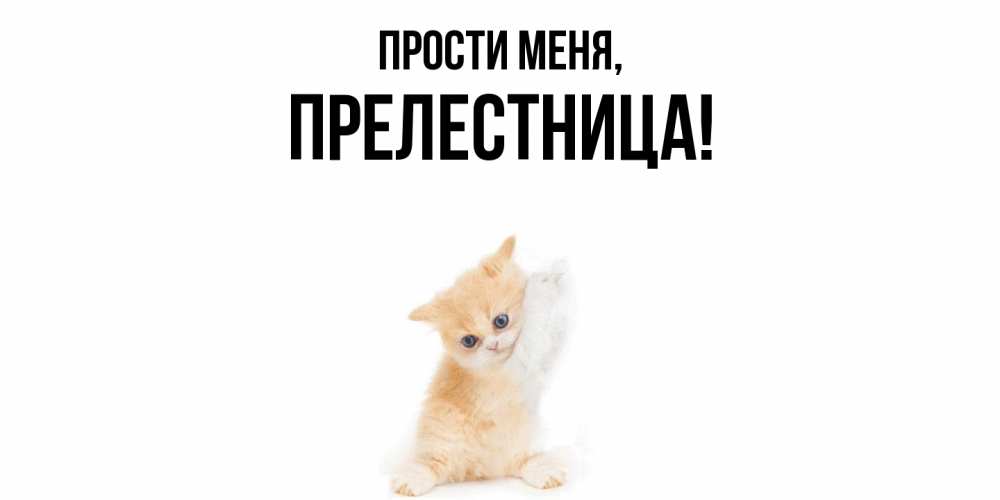 Открытка  для любимых и родных. прелестница, Прости меня  