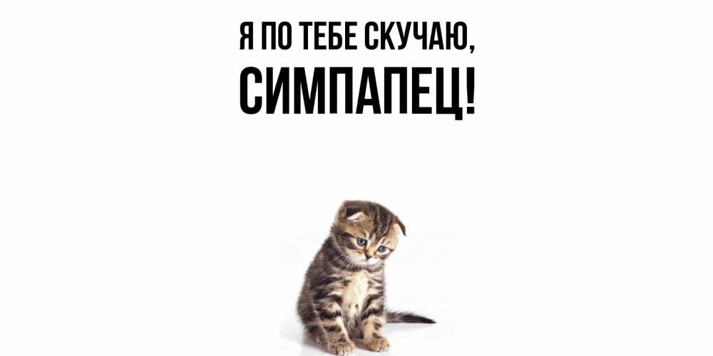 Открытка  для любимых и родных. симпапец, Я по тебе скучаю  