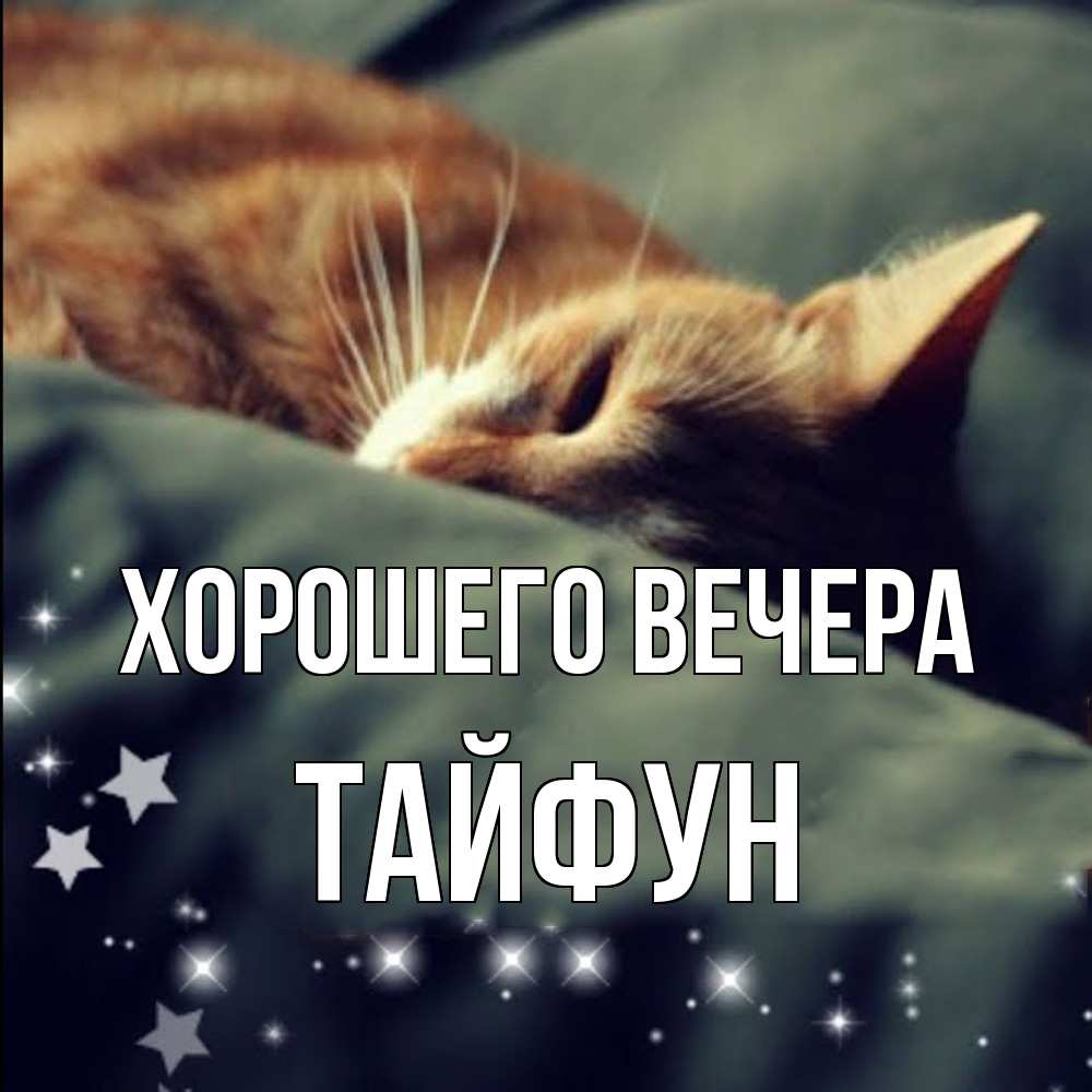 Открытка  для любимых и родных. тайфун, Хорошего вечера  