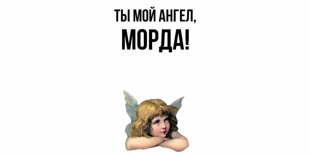 Открытка  для любимых и родных. морда, Ты мой ангел  