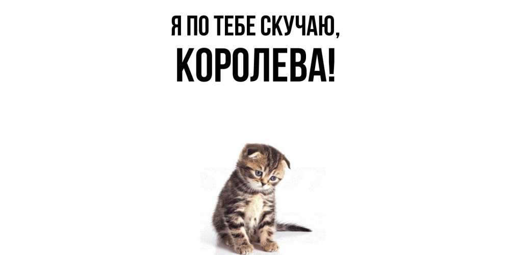 Открытка  для любимых и родных. королева, Я по тебе скучаю  