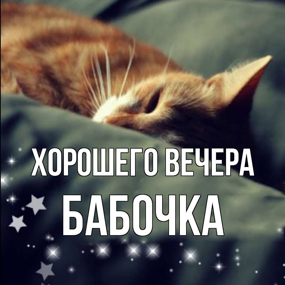 Открытка  для любимых и родных. бабочка, Хорошего вечера  