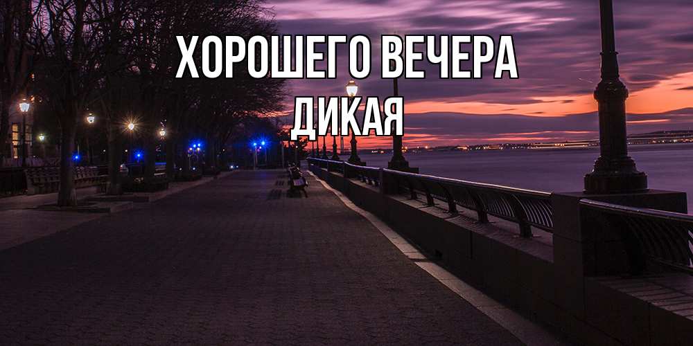 Картинка Хорошего вечера, дикая