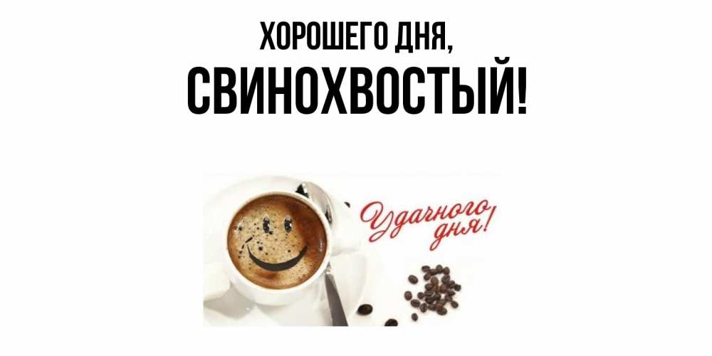 Открытка  для любимых и родных. свинохвостый, Хорошего дня  