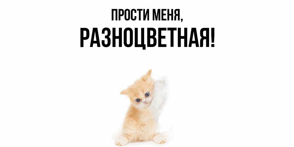 Открытка с именем, разноцветная, Прости меня