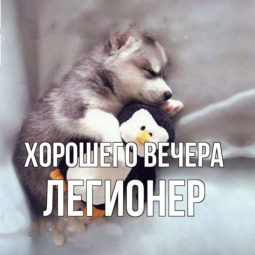 Открытка  для любимых и родных. легионер, Хорошего вечера  