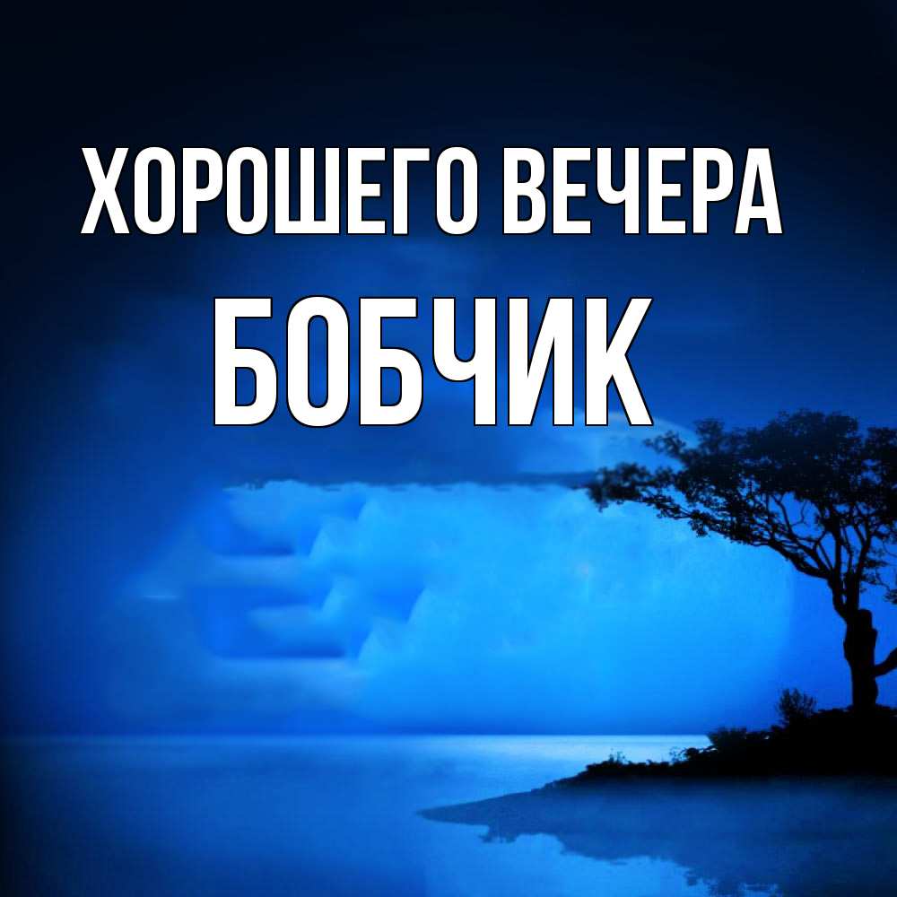 Открытка  для любимых и родных. бобчик, Хорошего вечера  