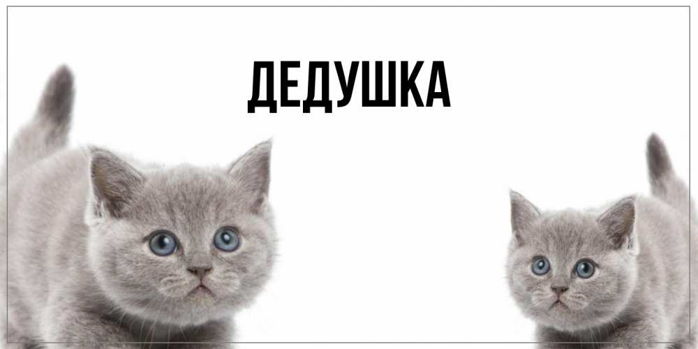 Открытка  для любимых и родных. Дедушка, Главная  