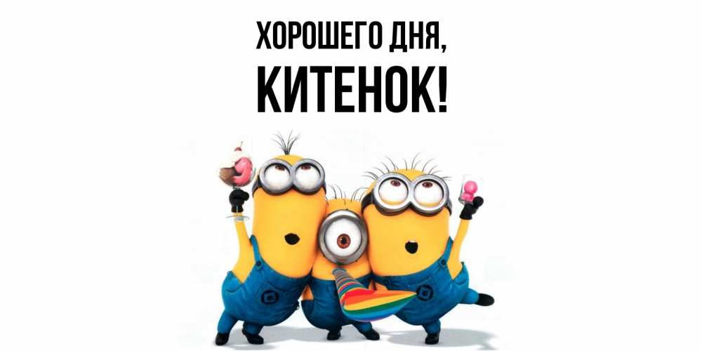 Открытка  для любимых и родных. китенок, Хорошего дня  