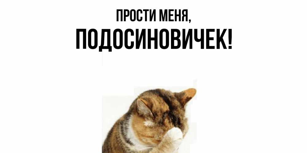 Открытка  для любимых и родных. подосиновичек, Прости меня  