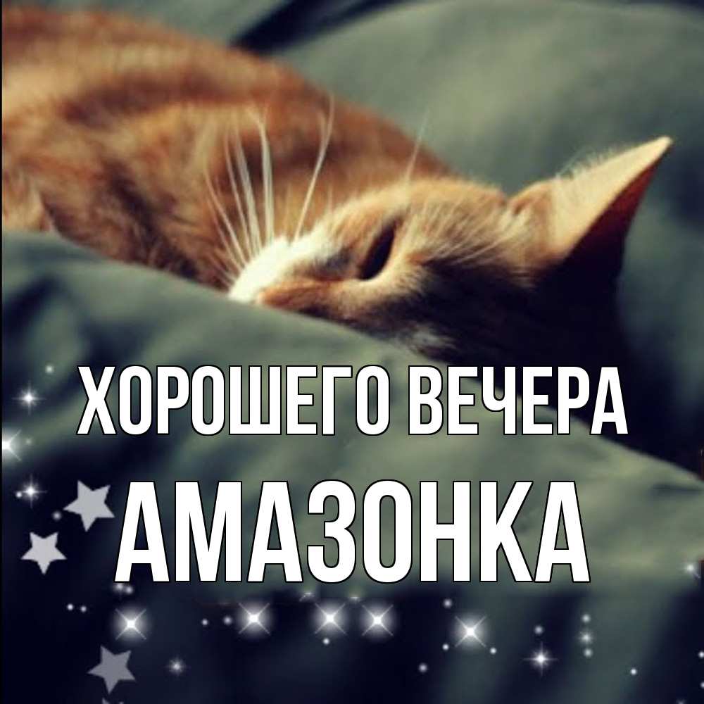 Открытка  для любимых и родных. амазонка, Хорошего вечера  